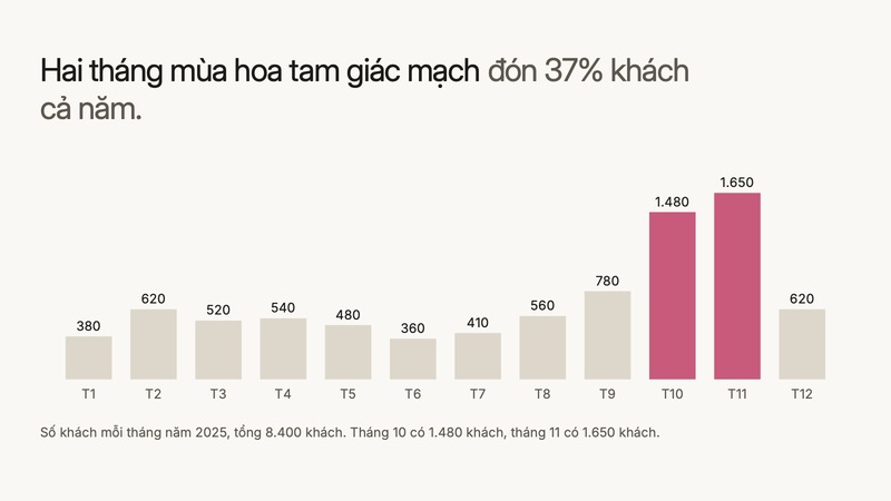 Trang 1 trong 3 trang tiêu biểu của bộ slide mẫu