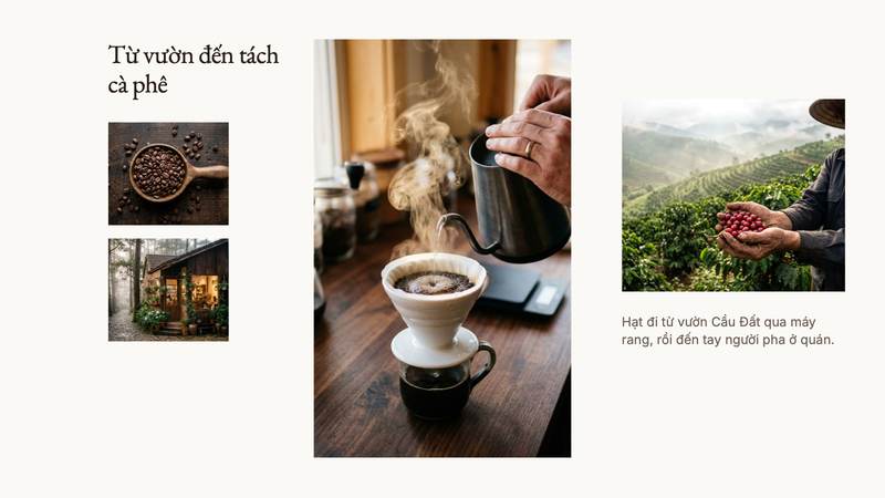 Trang 2 trong 3 trang tiêu biểu của bộ slide mẫu