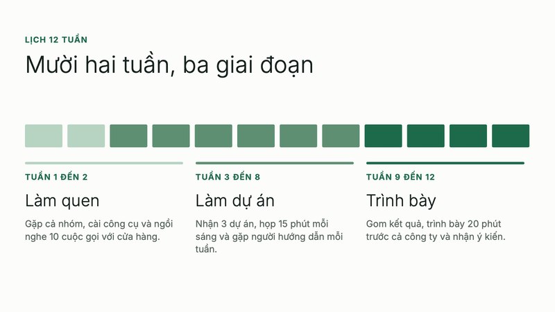 Trang 2 trong 3 trang tiêu biểu của bộ slide mẫu