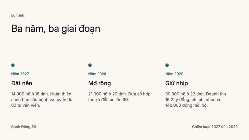 Trang 3 trong 3 trang tiêu biểu của bộ slide mẫu