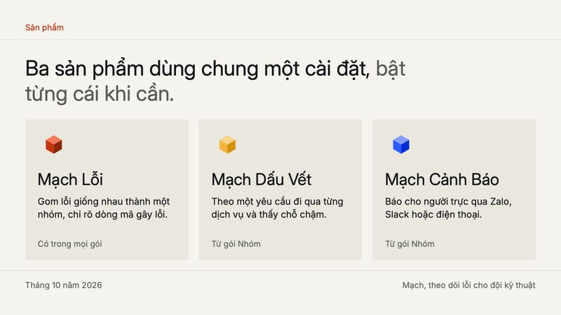 Trang 3 trong 3 trang tiêu biểu của bộ slide mẫu